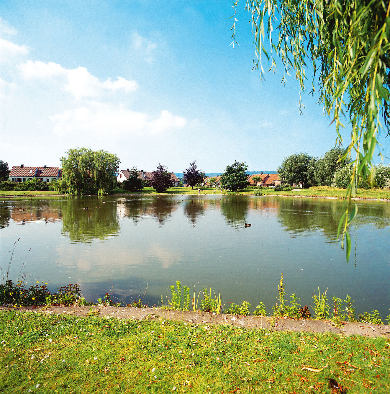 Foto 24 van Randweg 21-312