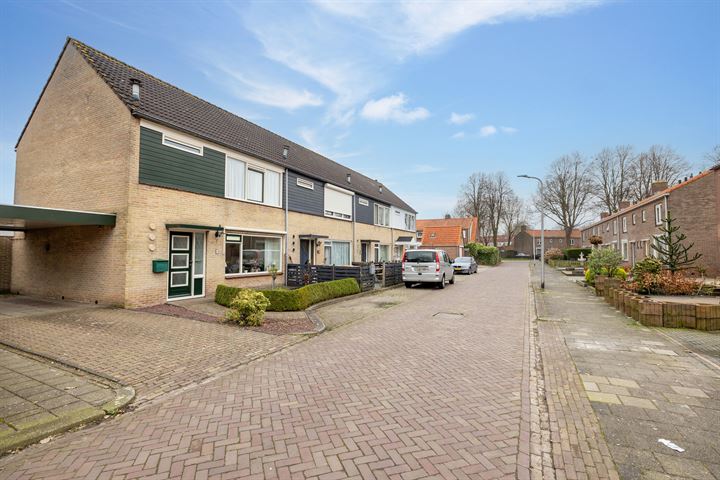 View photo 53 of van Laarstraat 8