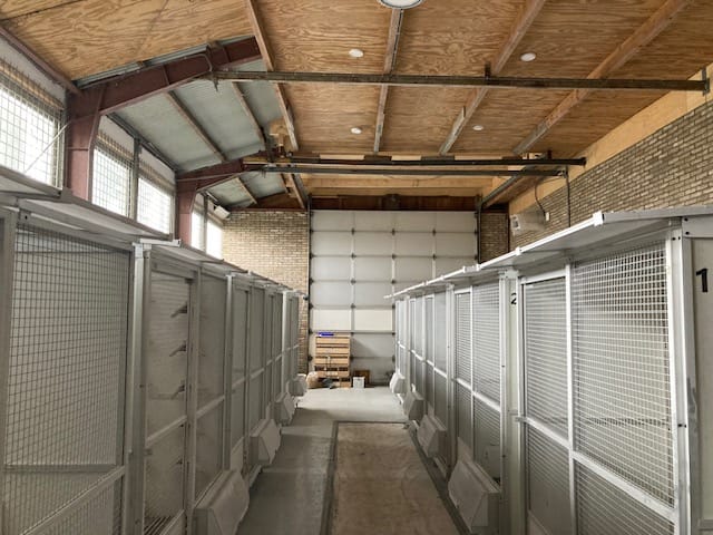 Photo 11 of Drogendijk 43