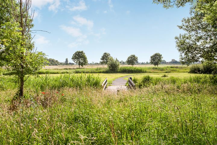 Bekijk foto 33 van Lutulistraat 50