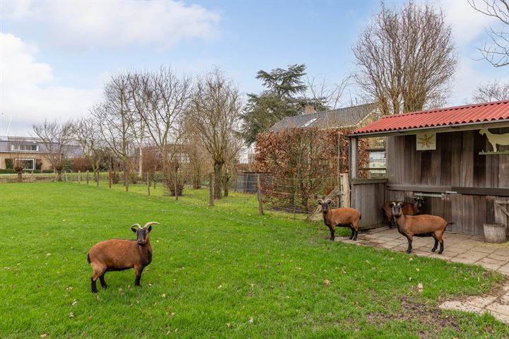 Bekijk foto 41 van Zwartemeerpad 18