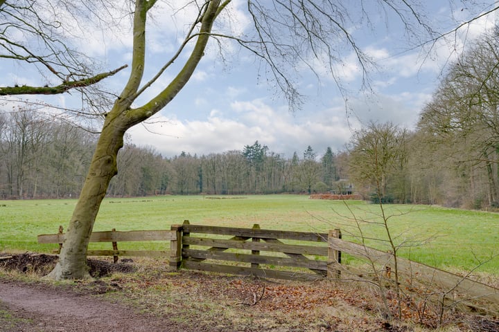 Bekijk foto 3 van Veldweg 25