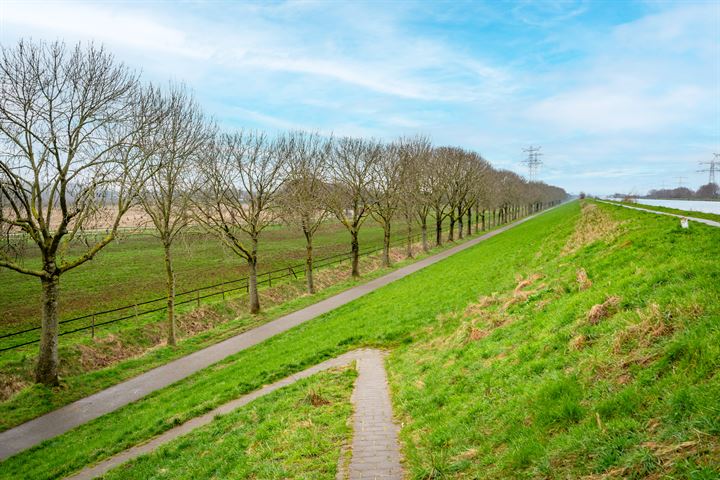 Bekijk foto 32 van Roefstraat 14