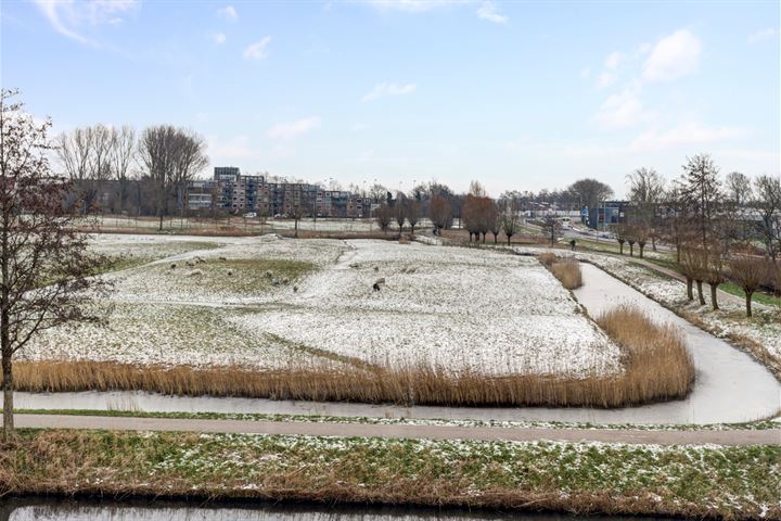 Bekijk foto 35 van Scheldestraat 68