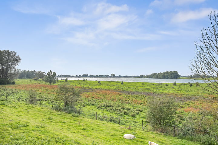 Bekijk foto 4 van Maasdijk 128