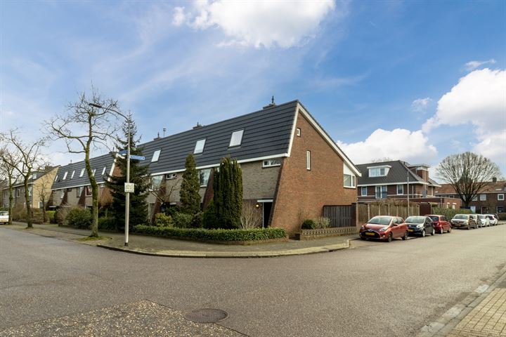 Bekijk foto 3 van Dromedarisstraat 43