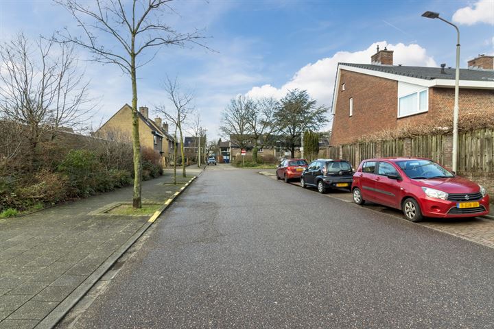 Bekijk foto 49 van Dromedarisstraat 43