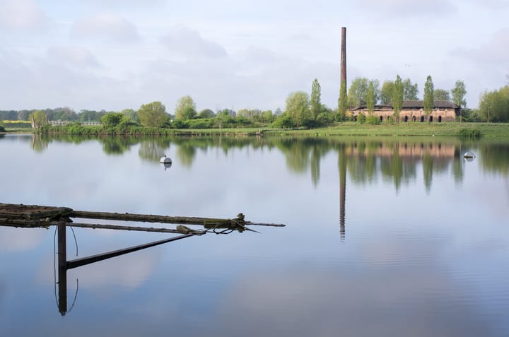 Foto 9 van Ossenwaard 11