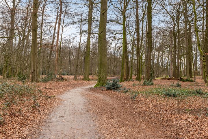 Bekijk foto 36 van van Reedeweg 62