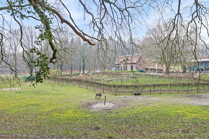 Bekijk foto 49 van Heijenoordseweg 92