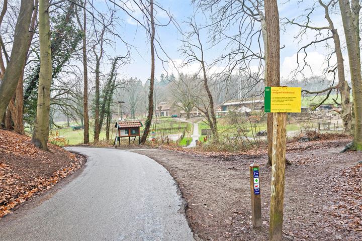 Bekijk foto 48 van Heijenoordseweg 92