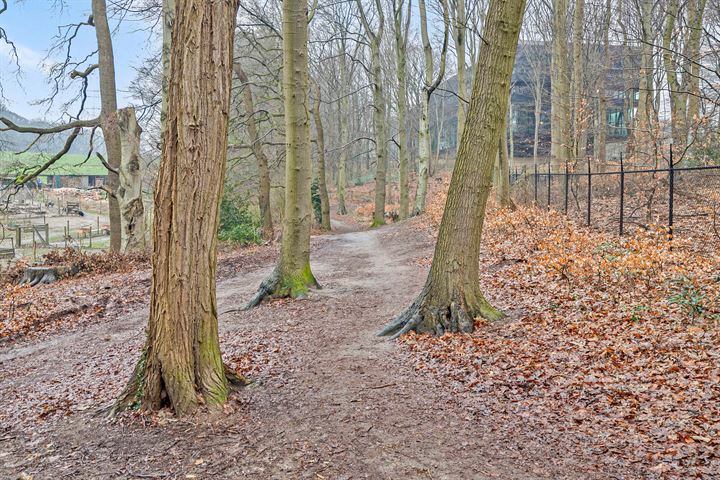 Bekijk foto 51 van Heijenoordseweg 92