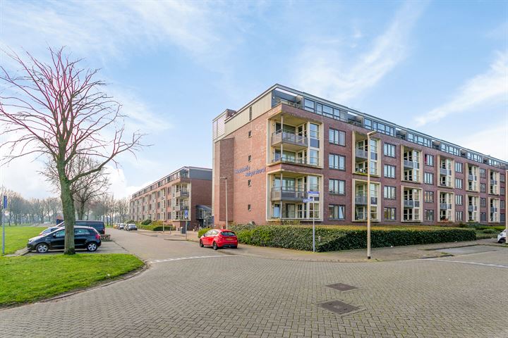 Bekijk foto 35 van Spieringstraat 22