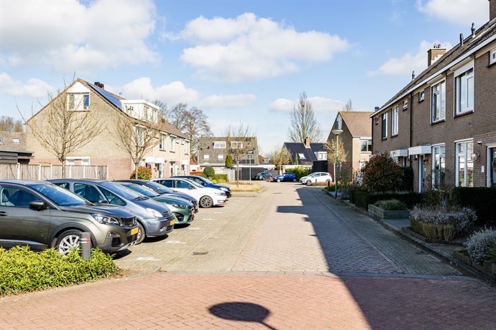 Bekijk foto 38 van Bereklauw 100