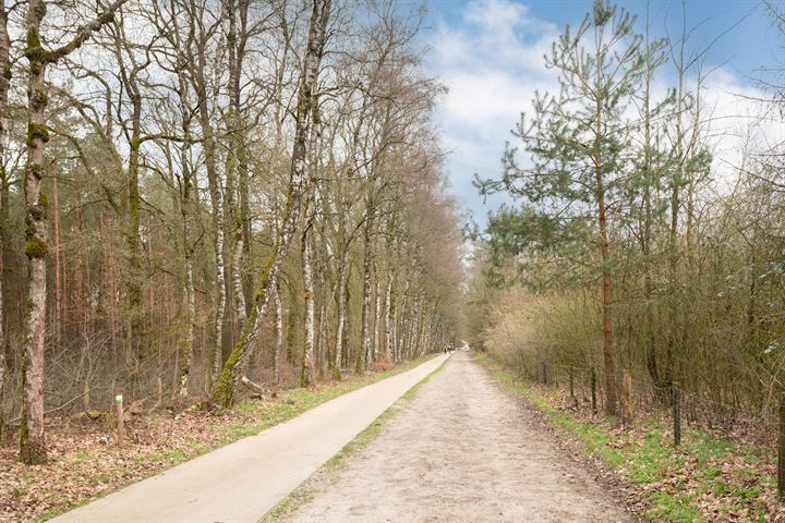 Bekijk foto 18 van Arnhemseweg 100-605