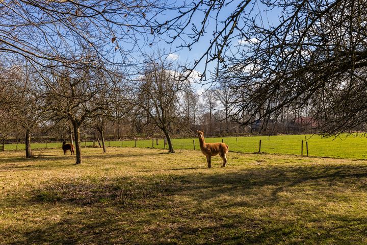 Bekijk foto 3 van Spoorlaan 17