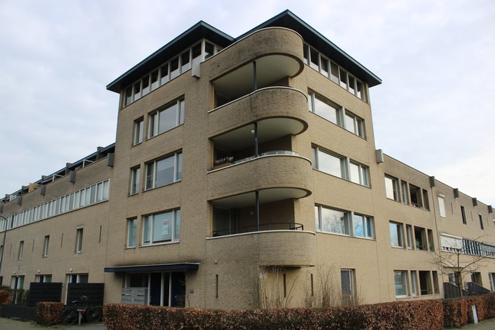 Pieter Stastokstraat 163