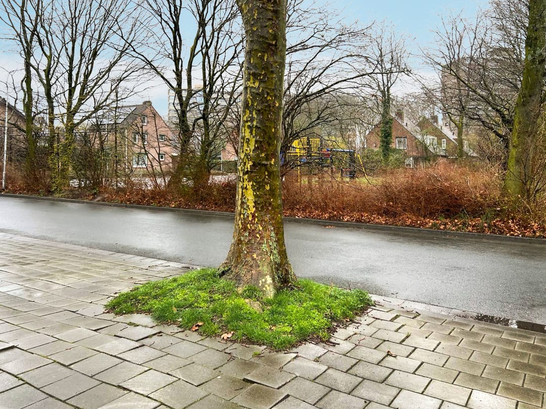 Foto 8 van Buys Ballotlaan garage S