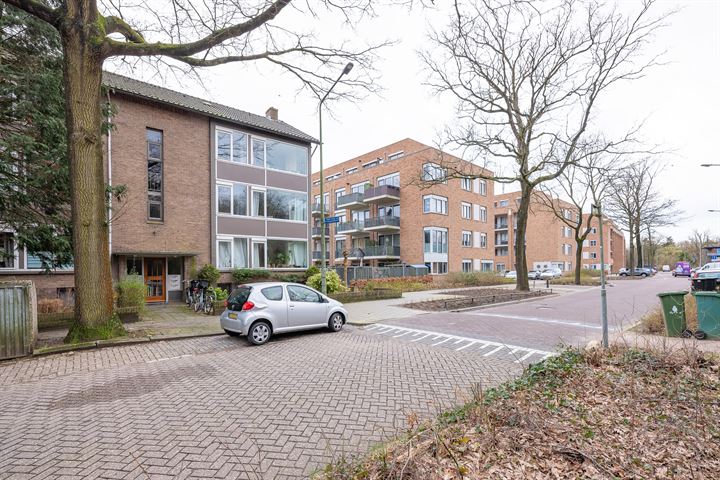 Bekijk foto 21 van Erfgooiersstraat 673