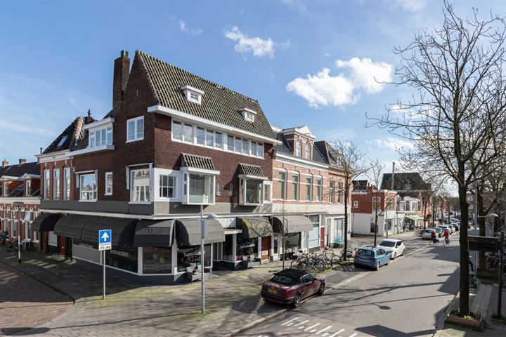 Bekijk foto 4 van Van Julsinghastraat 1