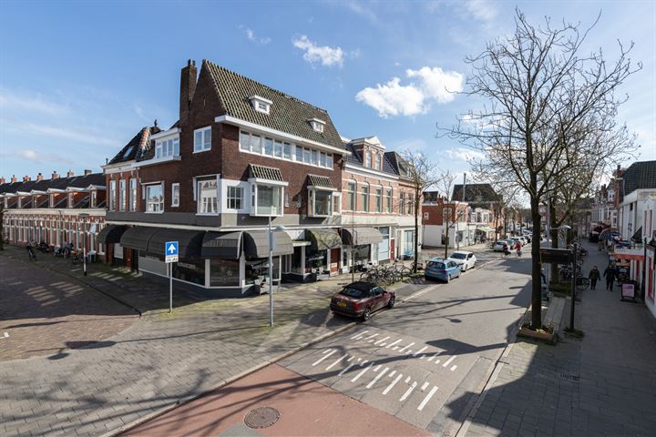 Bekijk foto 36 van Van Julsinghastraat 1