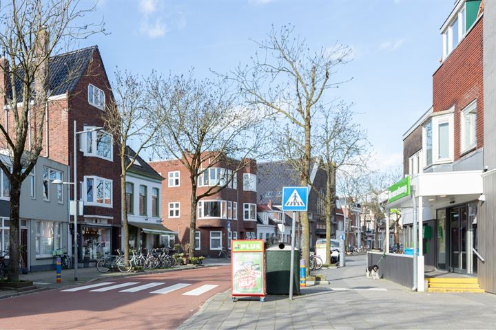 Bekijk foto 37 van Van Julsinghastraat 1