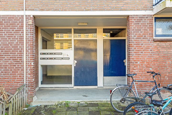 Bekijk foto 3 van Adriaen van Ostadestraat 42