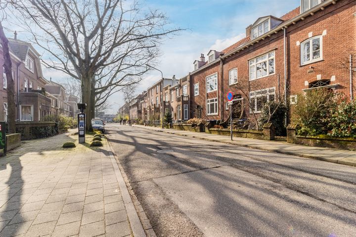 Bekijk foto 45 van Heydenrijckstraat 58