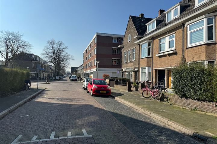 Bekijk foto 41 van Ternatestraat 123