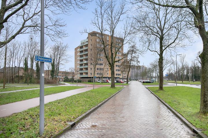 Bekijk foto 43 van Oldegaarde 240-A