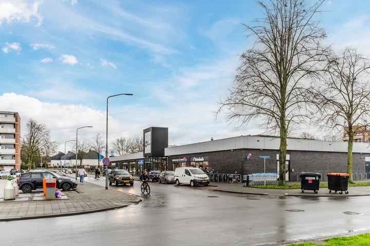 Bekijk foto 30 van Rijnauwenstraat 28