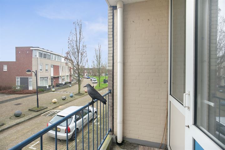 Bekijk foto 12 van Schaepmanstraat 65