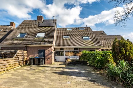 undefined main image