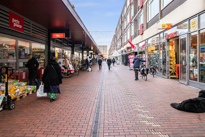 Bekijk foto 25 van Vijf Meilaan 170