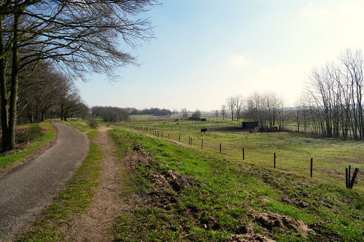 Bekijk foto 93 van Pieter Bruegelstraat 26