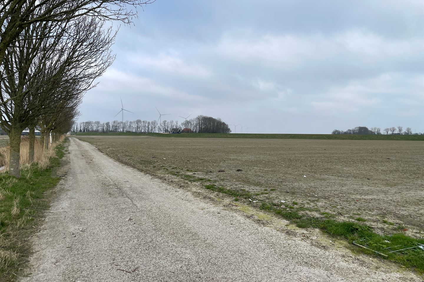 Bekijk foto 5 van Korte Groetpolderweg