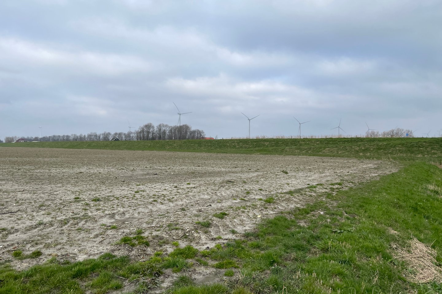 Bekijk foto 4 van Korte Groetpolderweg