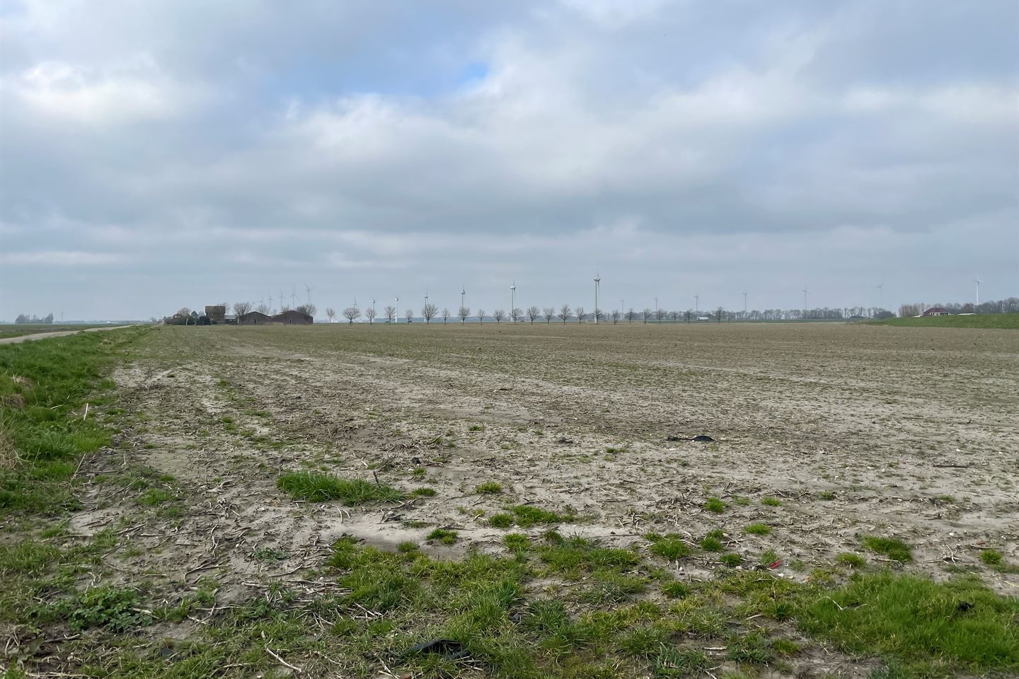 Bekijk foto 3 van Korte Groetpolderweg