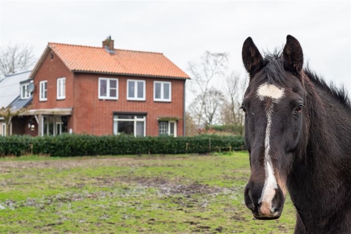 Bekijk foto 2 van Vrakkinkweg 1