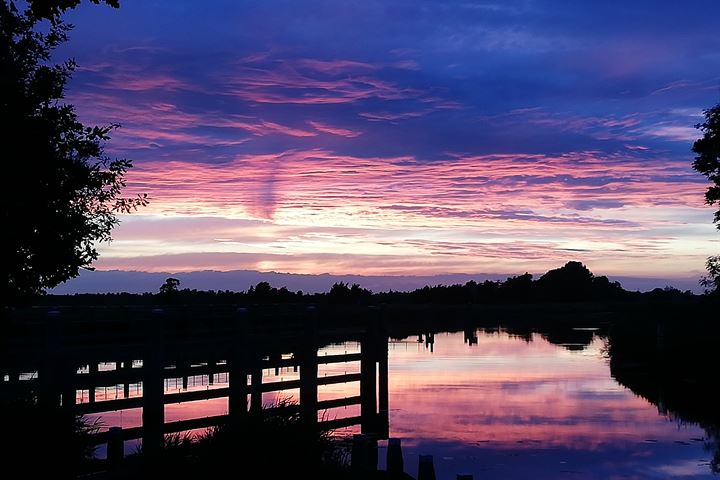 Bekijk foto 56 van Zomerdijk 21