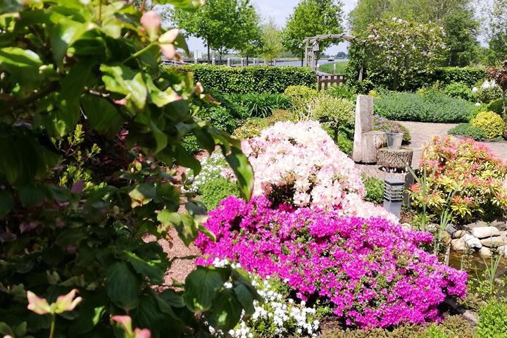 Bekijk foto 58 van Zomerdijk 21