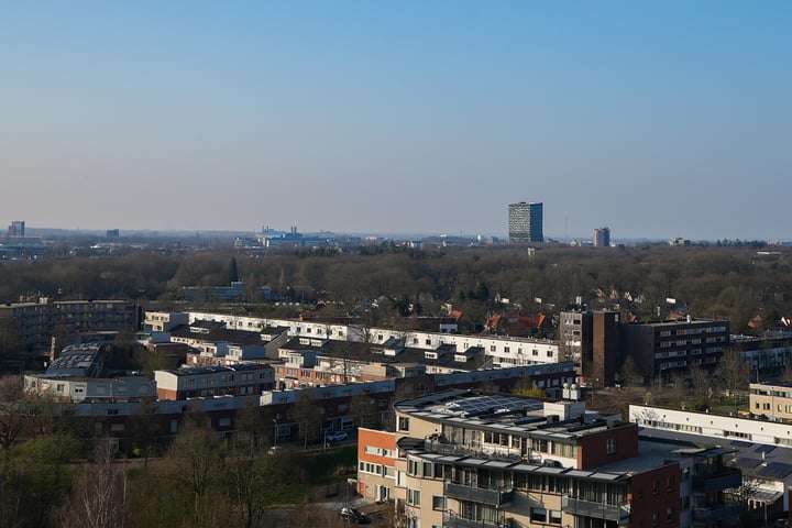 Bekijk foto 39 van Irene Vorrinkstraat 365