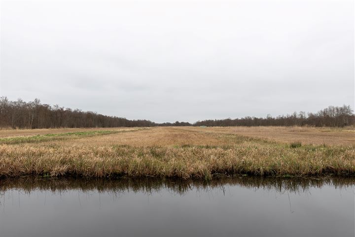 Bekijk foto 44 van Berkenlaan 18