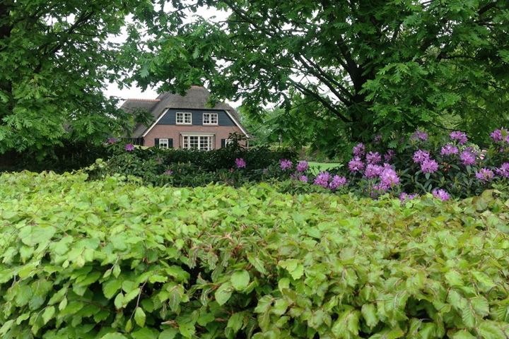 Bekijk foto 37 van Zuiderzeestraatweg 664