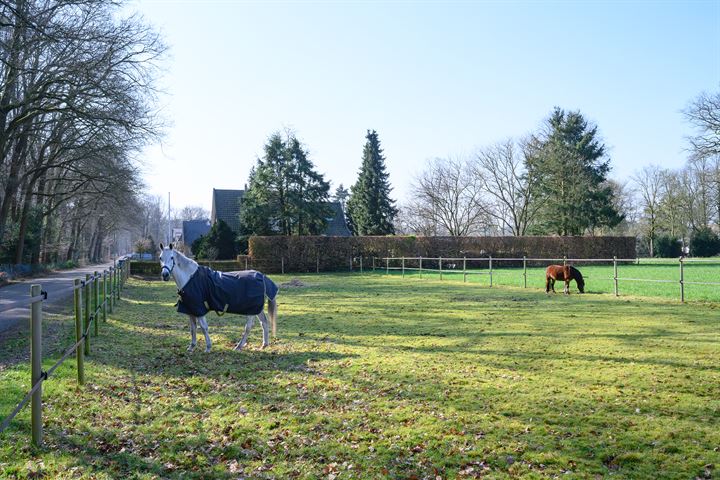 Bekijk foto 6 van Loenenseweg 127