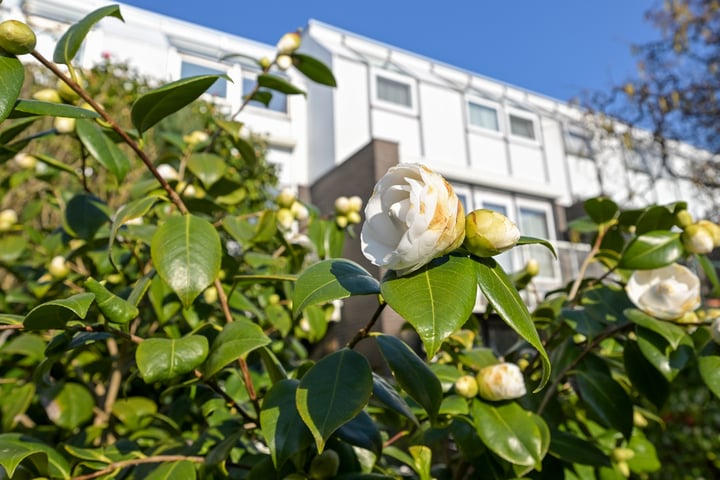 Bekijk foto 41 van Hendrik van Boeijenlaan 64