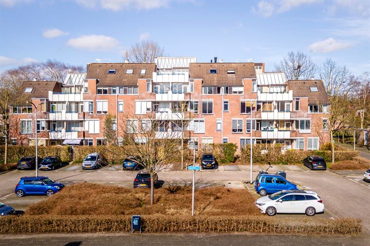 Bekijk foto 15 van Jacob Obrechtstraat 41