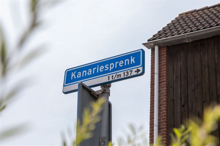 Bekijk foto 27 van Kanariesprenk 45