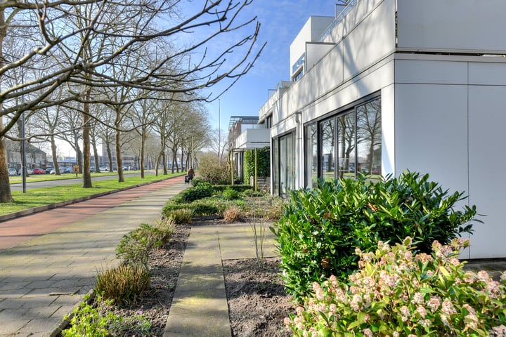 Bekijk foto 35 van Zwijnsbergenstraat 161