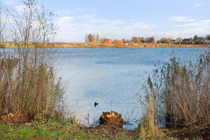 Bekijk foto 30 van Dijkmanschans 176